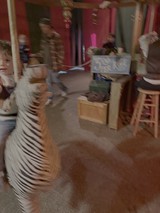 Motion Blur Captures Child's Energetic Indoor Play
