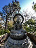 Serenity at the Japanese Tea Garden
