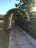 A Peaceful Walk in Arbour Garden