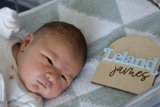 Leland's First Glimpse