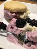 Blackberry Ice Cream Delight