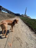 Walking Along the Path