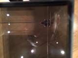 Reflection in Glass Case