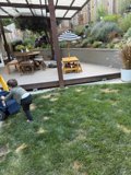 Afternoon Adventures in the Backyard
