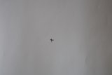 Cloudy Flight