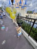 Dreams Take Flight at Magic Kingdom