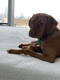 Resting with a View