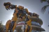 Robotic Guardian