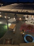 Evening in the Backyard