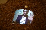 Dive into the Coffee Beans