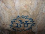 dt: A Graffiti Art on Nature's Canvas