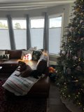 Cozy Christmas Living Room