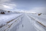 Winter's Beauty