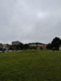 A Serene Day at Duboce Park