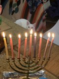 Feline Festivities