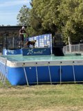 Splashing Into Action