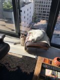 The Relaxing Cat