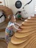 Steps to Discovery