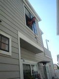 Hanging On