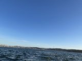 A Serene Sail Across San Francisco Bay