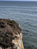 Cliffside Perch