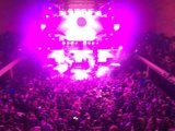 Purple Haze