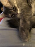 Lazy Days