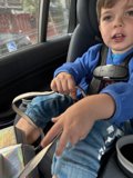 Little Explorer in the City