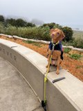 Walk in the Park