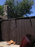 Relaxing in the Backyard