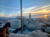 Urban getaway with my furry friend