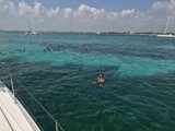 Leisurely Swim on the Open Seas