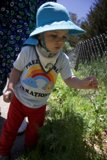 Young Explorer at Alemany Farm