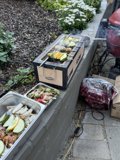 Summer Grill Gathering