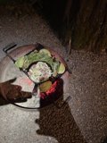 Campfire Culinary Delight