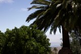 Oasis at Hearst Castle