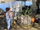 Imaginations Unleashed by the Waterside