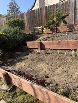 Terraced Garden Construction with Wooden Retaining Walls