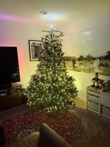 Illuminated Christmas Tree in Modern Living Room