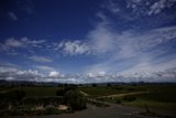 A Serene Stroll through Napa's Countryside