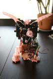 Pretty in Pink Robot