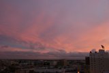 Pink Skies over the Urban Jungle