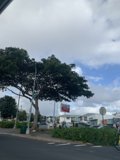 Welcome to Honolulu