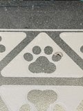 Canine Trailblazer