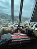 City View Comfort