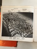 Navigating the Concrete Jungle