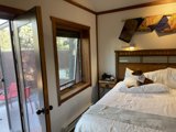 Cozy bedroom with a furry friend