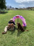 Man and his Furry Companions Enjoying the Great Outdoors