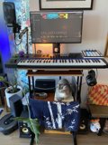 The Musical Feline