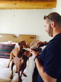 A Man's Best Friends